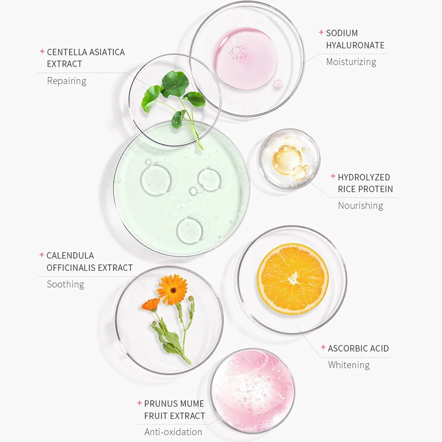 Laikou Japan Sakura Face Sunscreen - Image 5
